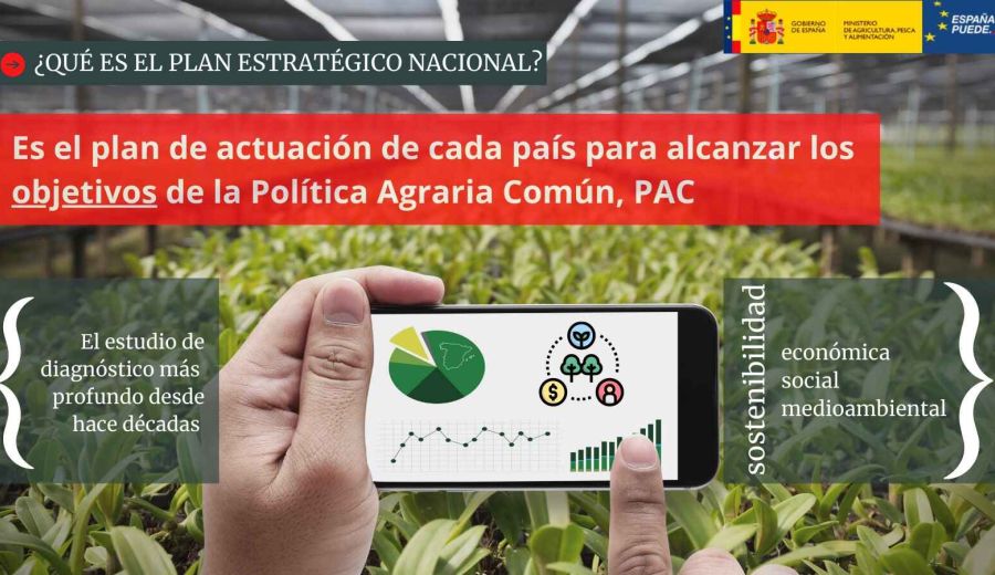Guía básica de la PAC post 2020: Plan Estratégico Nacional