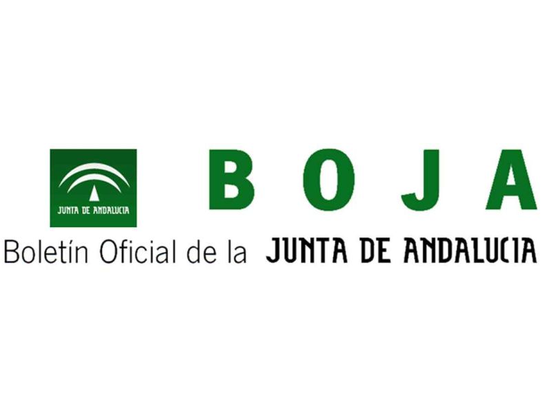 Igualdad concede subvenciones destinadas a formación y estudios en materia de violencia de género
