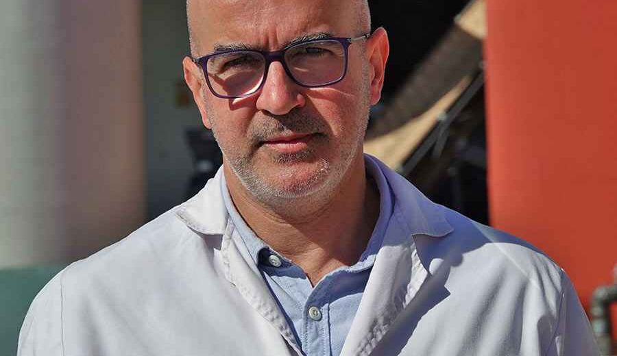 Global Olive Consulting revoluciona la producción de aceituna de mesa con la digitalización del proceso