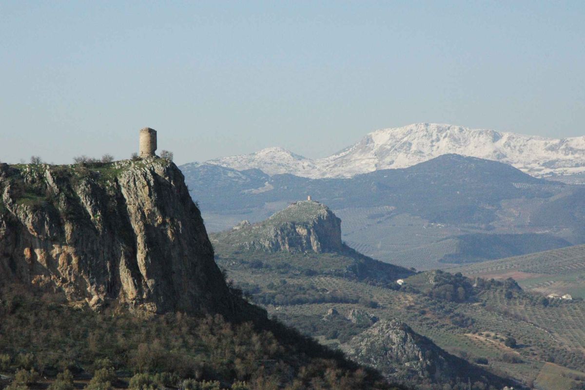 Agricultura anuncia la elaboración de protocolos de actuación con las diputaciones andaluzas para proyectos de ámbito rural