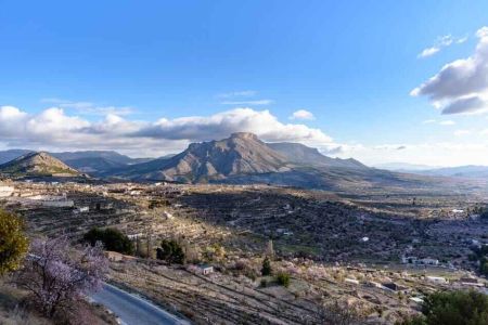 GDR 10 Secaderos Montesur 55cf729c