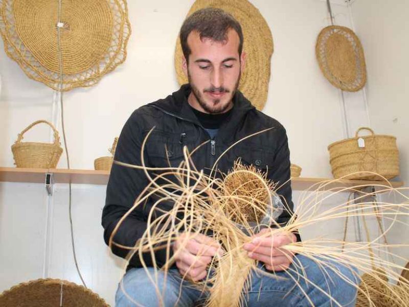 El esparto: de cultivo olvidado a alternativa sostenible al plástico