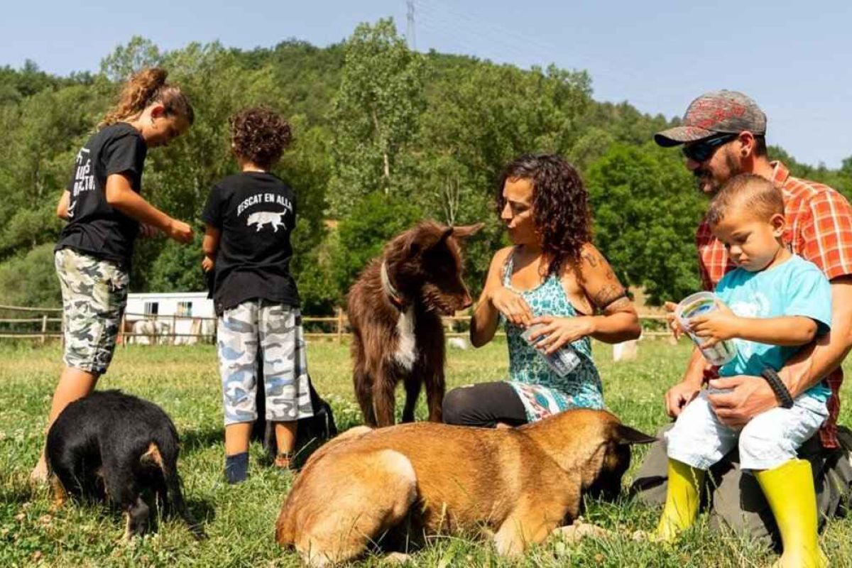 ¡Nos vamos de la ciudad! 6 apuestas por la vida rural
