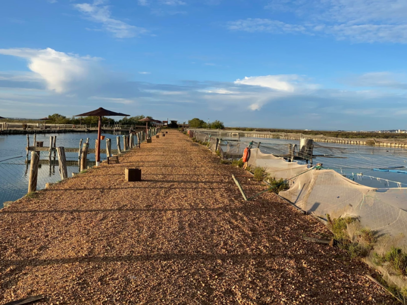Guadiodiel impulsa con LEADER 67 proyectos en la Costa Occidental de Huelva