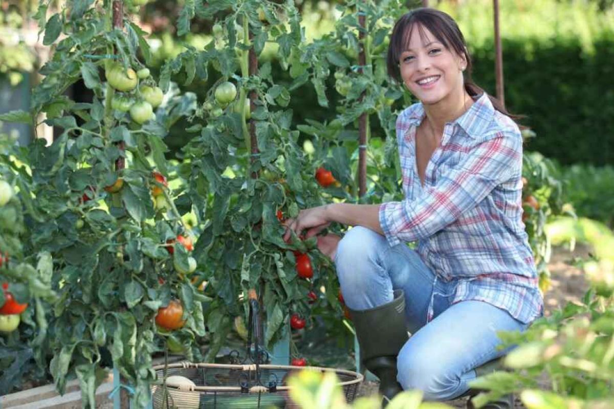 El Ministerio de Agricultura, Pesca y Alimentación convoca los Premios de Excelencia a la Innovación para Mujeres Rurales