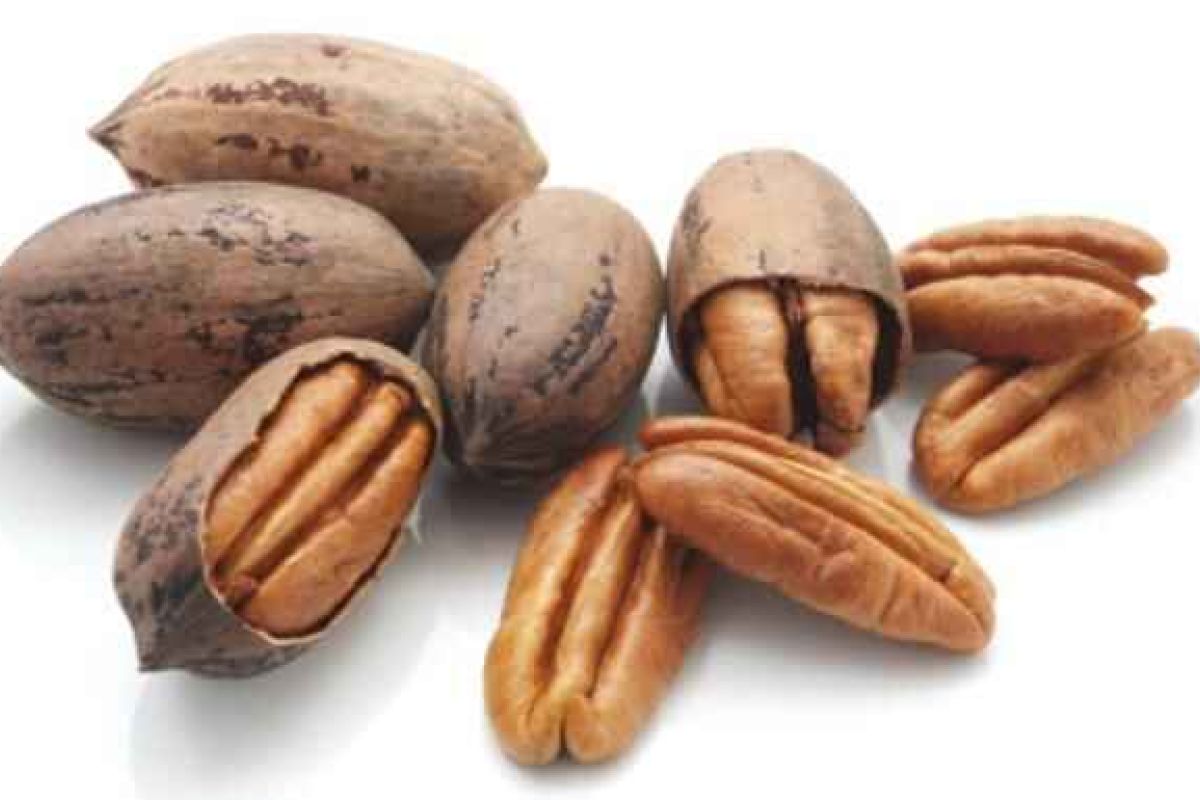 Convocan el I Concurso Gastronómico Nuez Pacana Comida Sana en el Valle del Guadalhorce