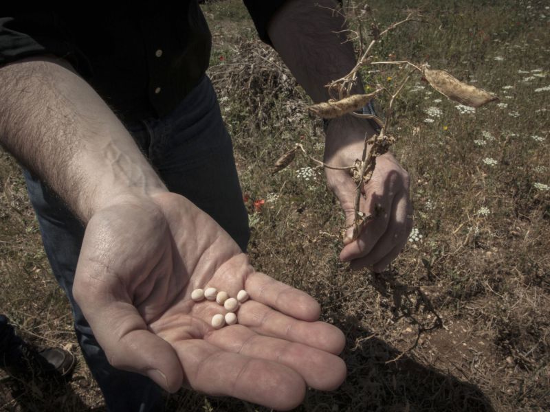 Abierta la convocatoria para participar en el programa Terralimenta