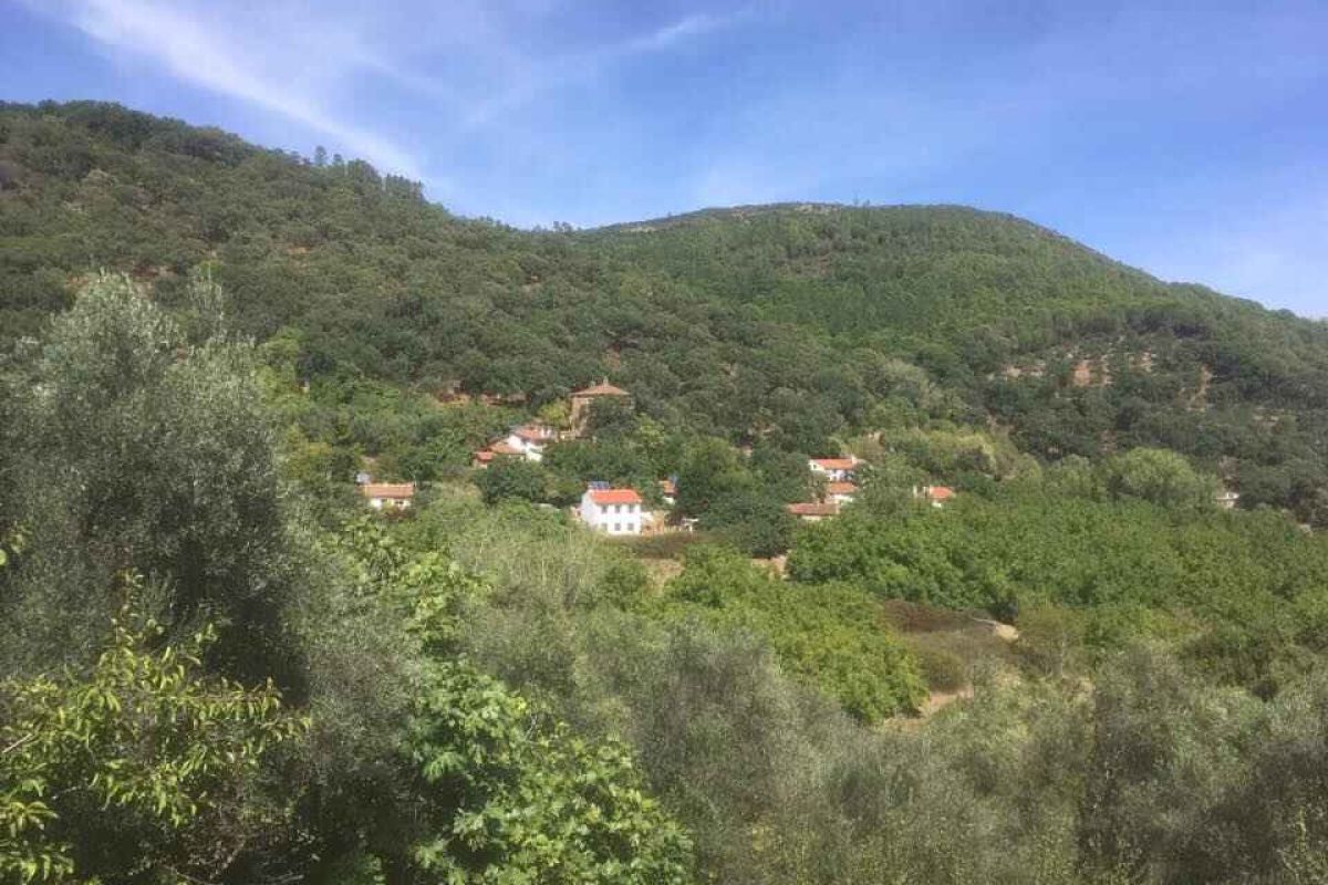 El Calabacino (Sierra de Aracena y Picos de Aroche), defensa de lo rural