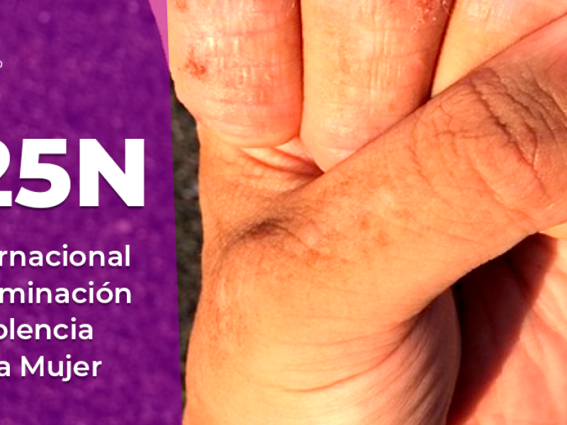25N, Día Internacional de la Eliminación de la Violencia contra la Mujer