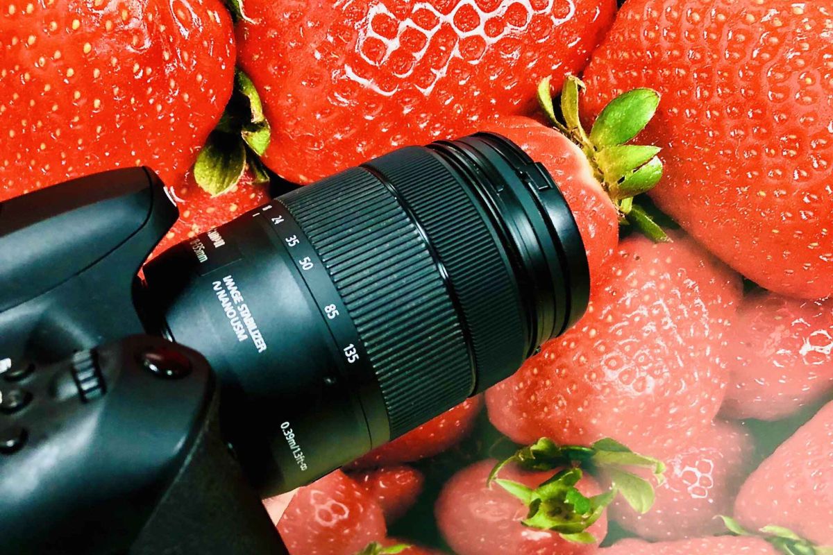 Abierto el plazo para participar en el concurso fotográfico Medio Rural y Pesquero en Andalucía 2021