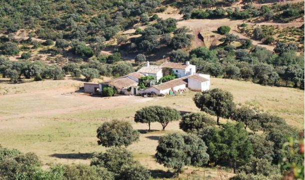 Grupo de Desarrollo Rural Condado de Jaén