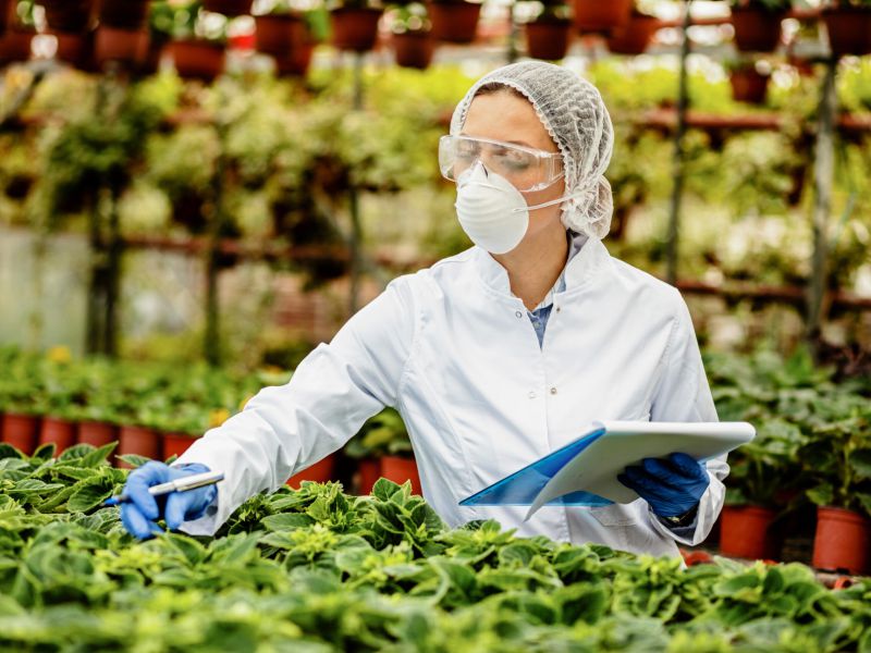 Subvenciones supraautonómicas para innovación, formación y transferencia de conocimiento en el PEPAC y Grupos de Desarrollo Rural