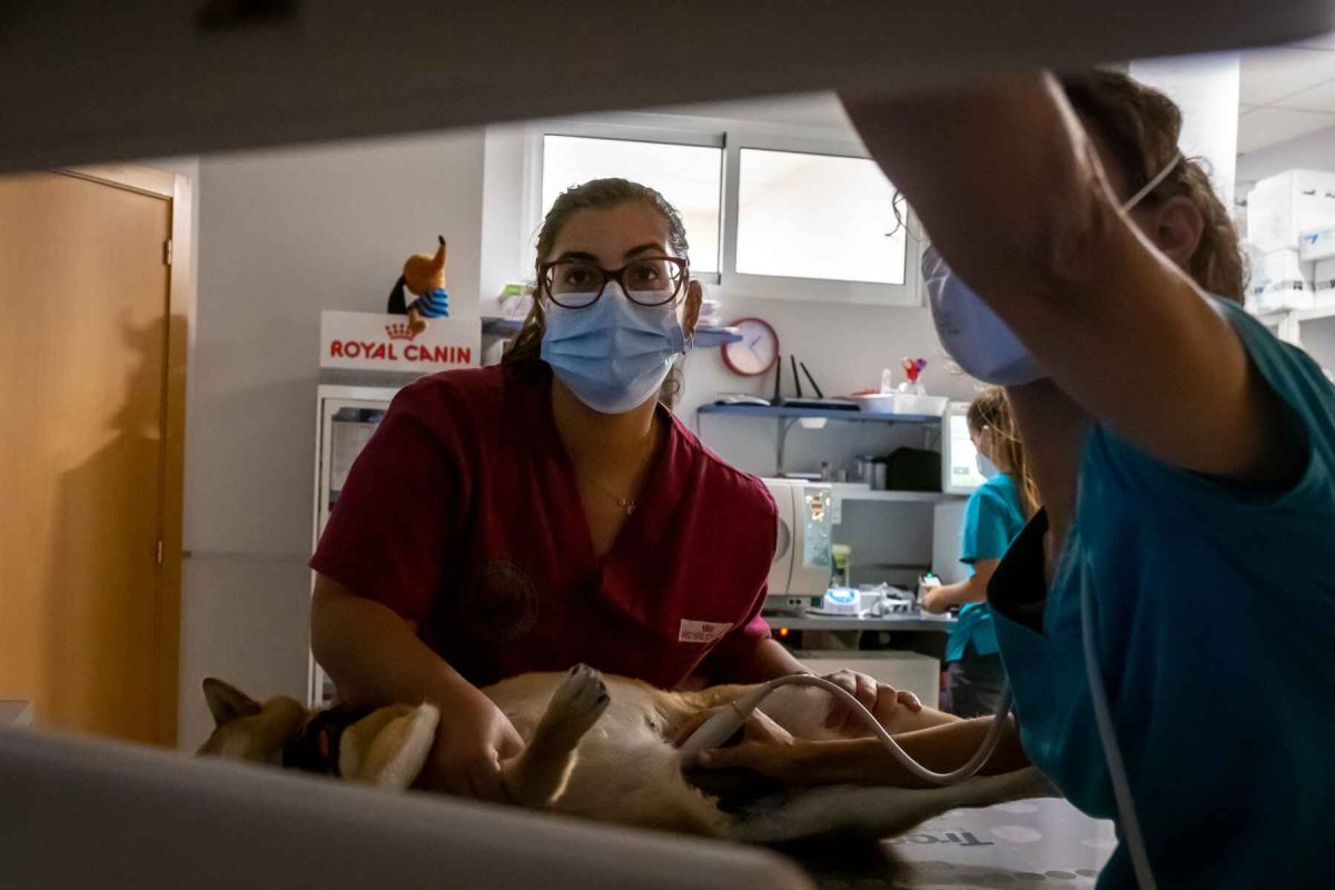 Diputación y los 5 Grupos de Desarrollo Rural de Huelva convocan 105 becas HEBE  para la juventud de las comarcas de la provincia