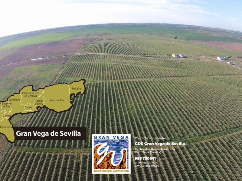 Juan Carlos Expósito, presidente del GDR Gran Vega de Sevilla: “LEADER es, para muchos, la última oportunidad para crear un negocio en el medio rural antes de abandonarlo”