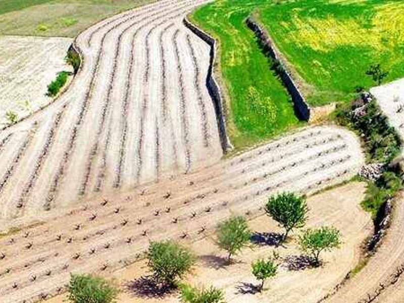 La Generalitat Valenciana abre el plazo para solicitar las ayudas LEADER destinadas al medio rural