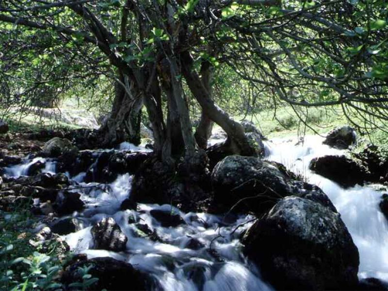 El Consejo de Gobierno declara diez nuevos monumentos naturales en Andalucía