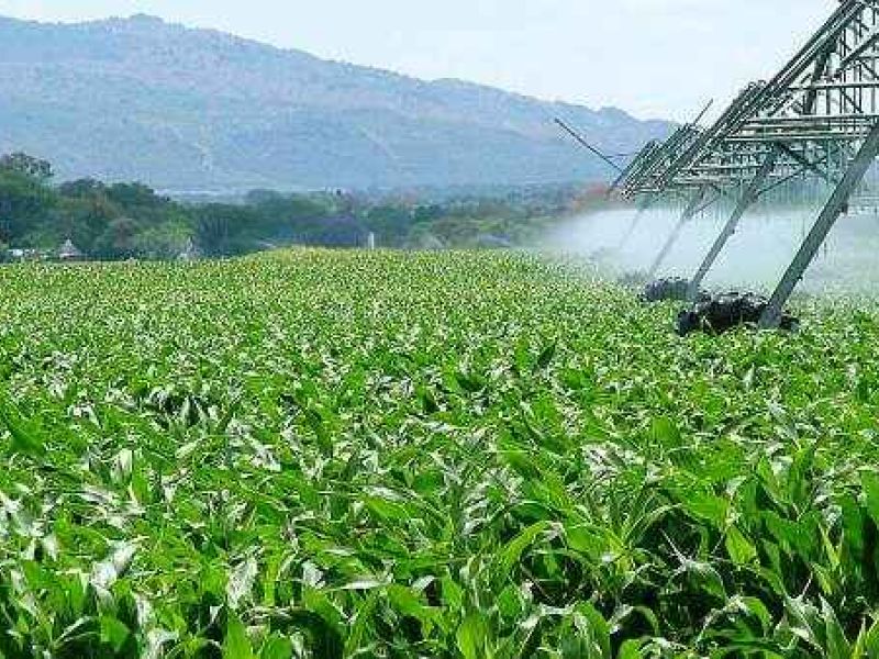 Andalucía aprueba medidas de seguimiento y reactivación de los programas de fondos europeos para 2019 y 2020