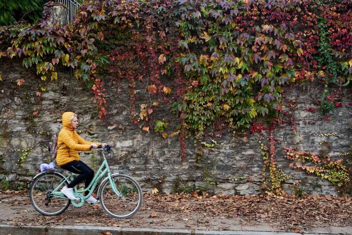 Promueven cubrir todas las necesidades a pie o en bici en la urbe o en el campo