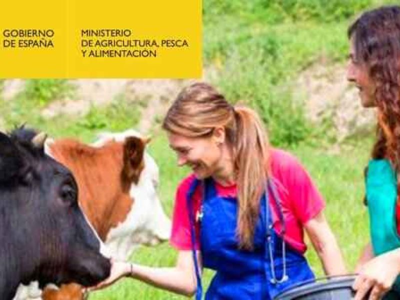 El Ministerio de Agricultura, Pesca y Alimentación convoca ayudas a programas de formación dirigidos a los profesionales del medio rural