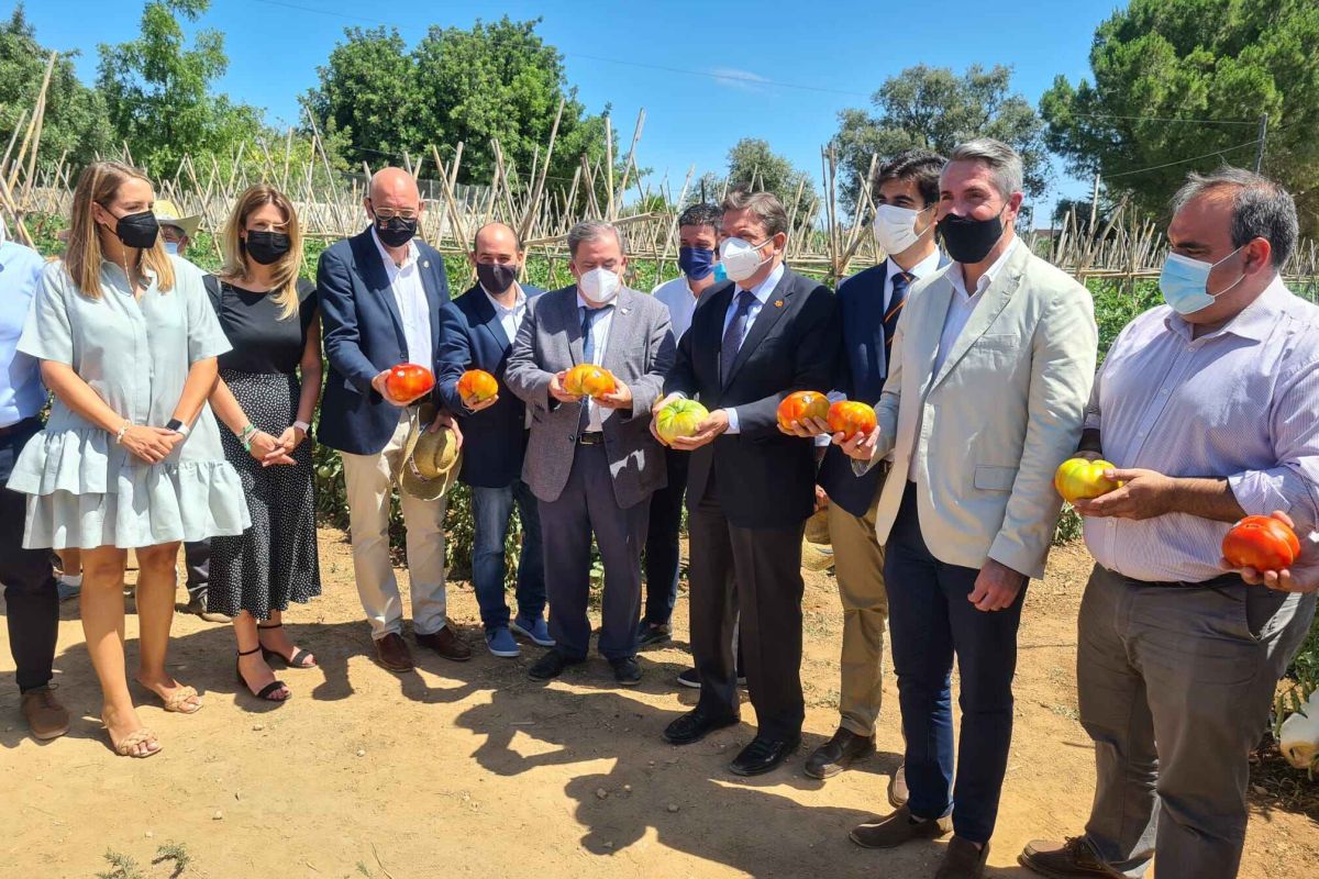 Luis Planas visita una explotación de una variedad de tomate autóctono del Valle del Guadalhorce
