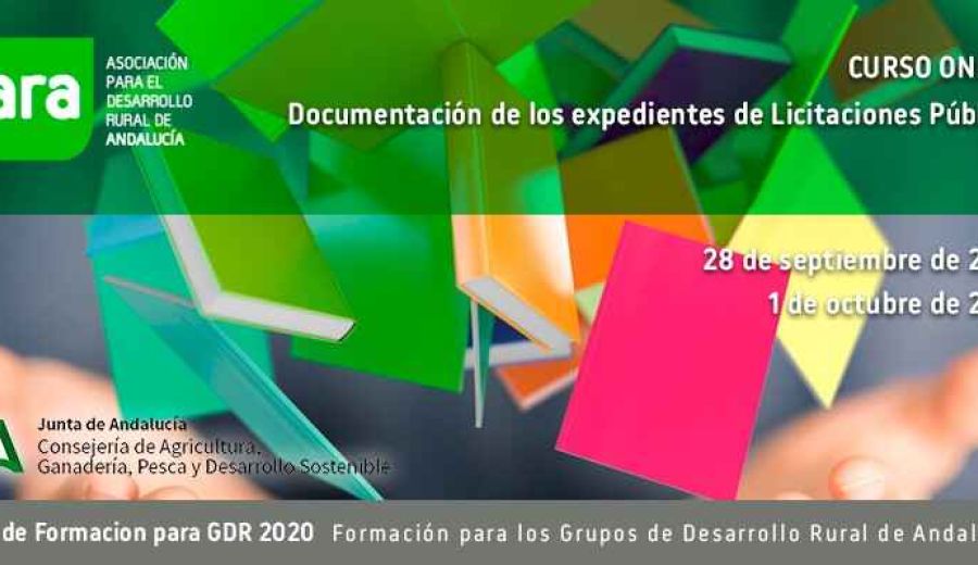 Curso Online “Documentación de los expedientes de licitaciones públicas”