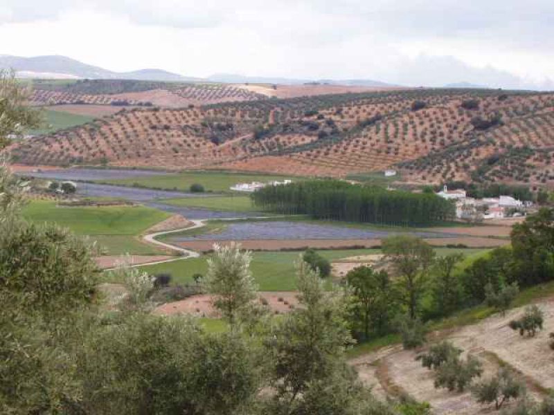 Los presupuestos destinan 10 millones para abrir oficinas contra la despoblación