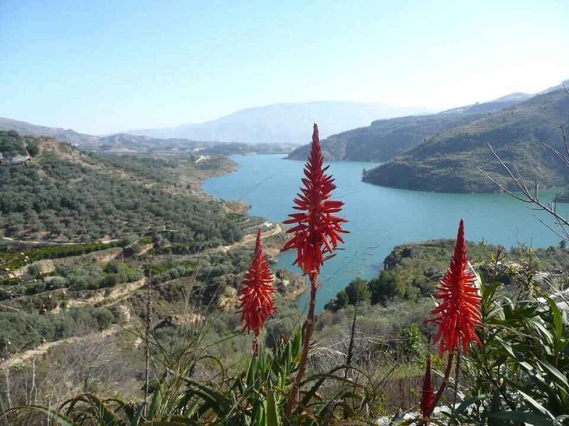 El GDR Valle de Lecrín, Temple y Costa concede 705.000 € de ayudas LEADER a 18 proyectos en la comarca