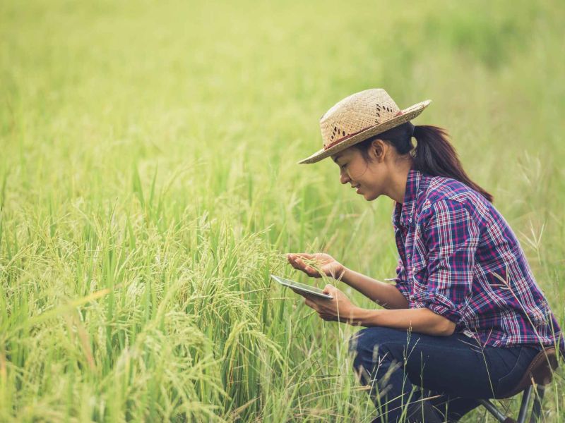 Carbon Farm Hub: Agricultura de carbono y claves para un futuro sostenible