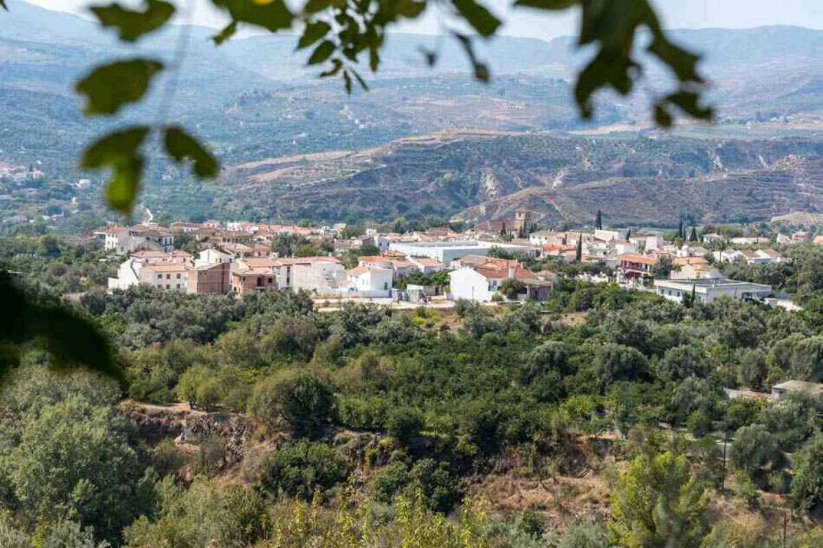 Diputación de Granada aprueba 80.000€ para apoyar los 8 Grupos de Desarrollo Rural de la provincia