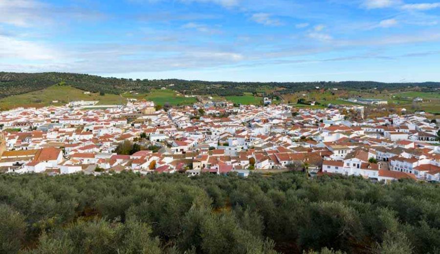 Publicado el “Informe Anual de Indicadores de la Agricultura, Pesca y Alimentación 2020” con datos de los diferentes PDR autonómicos