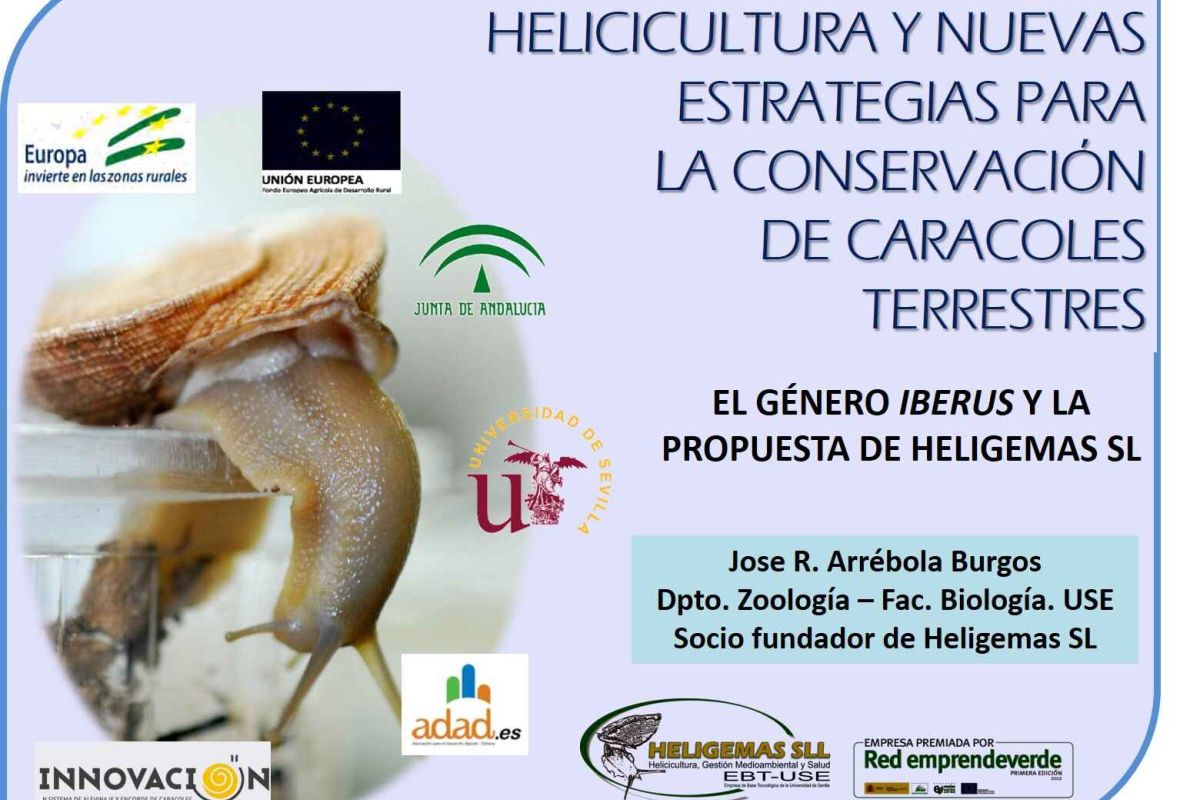 El GO “Innovación en Sistema de Alevinaje y Engorde de Caracoles” participa en el Foro Anual de Malacología en Vigo