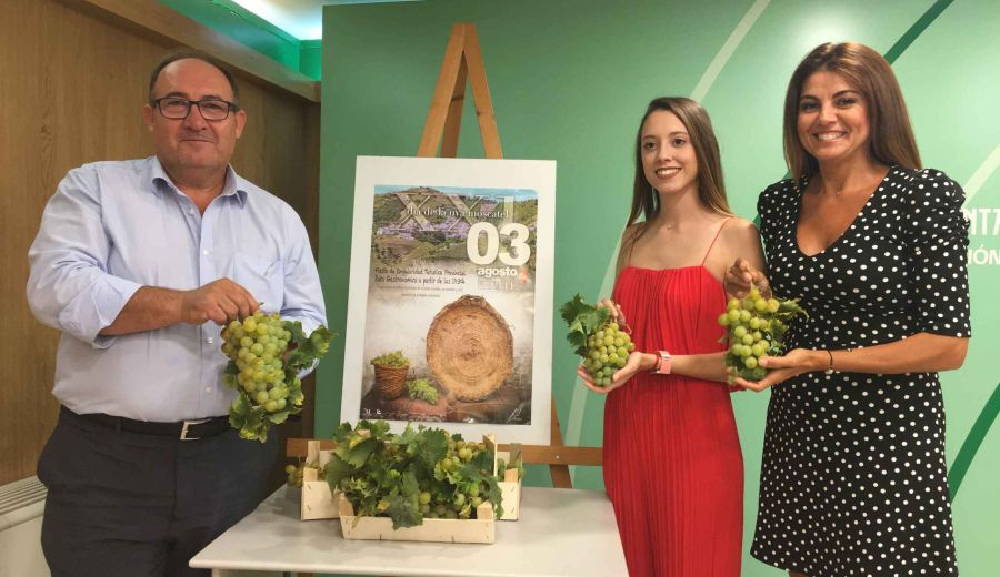 Iznate  en la Axarquía de Málaga celebra el sábado el XXI Día de la Uva Moscatel homenajeando un producto de tradición milenaria