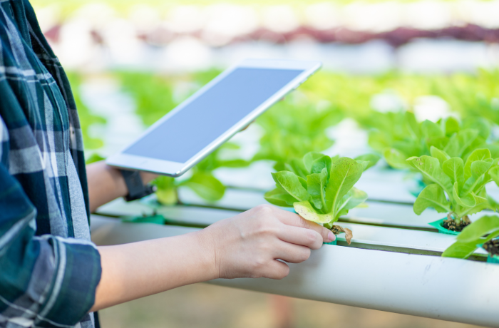 La Comisión Europea reconoce a LEADER como un vehículo indispensable para llevar la innovación al medio rural