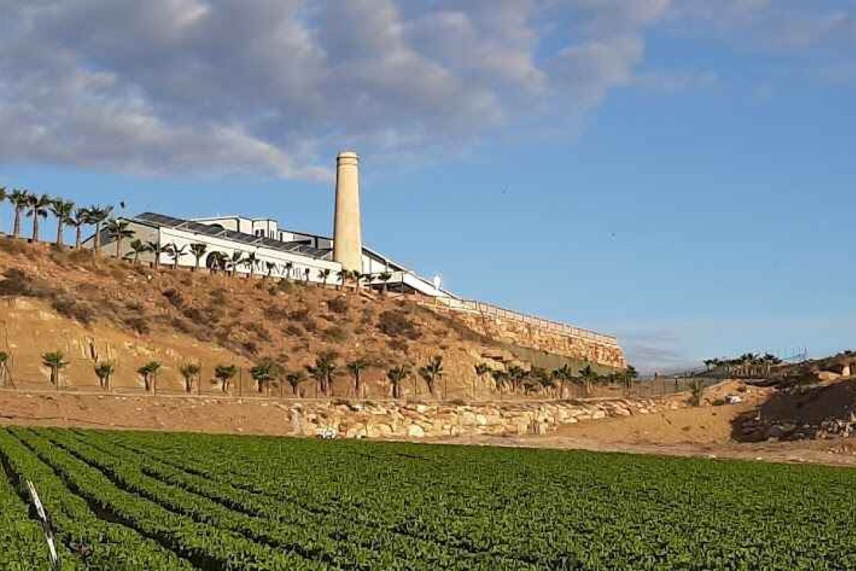 El GDR Levante Almeriense y Almanzora apoya con LEADER la Sociedad Agraria de Transformación Los Guiraos