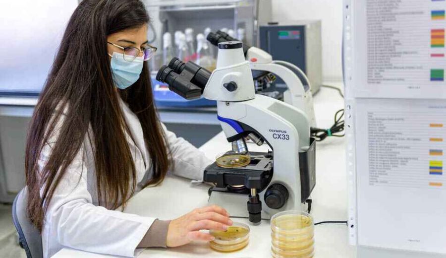 El Ministerio de Agricultura, Pesca y Alimentación destina 12M€ a subvencionar proyectos de innovación de la Asociación Europea para la Innovación