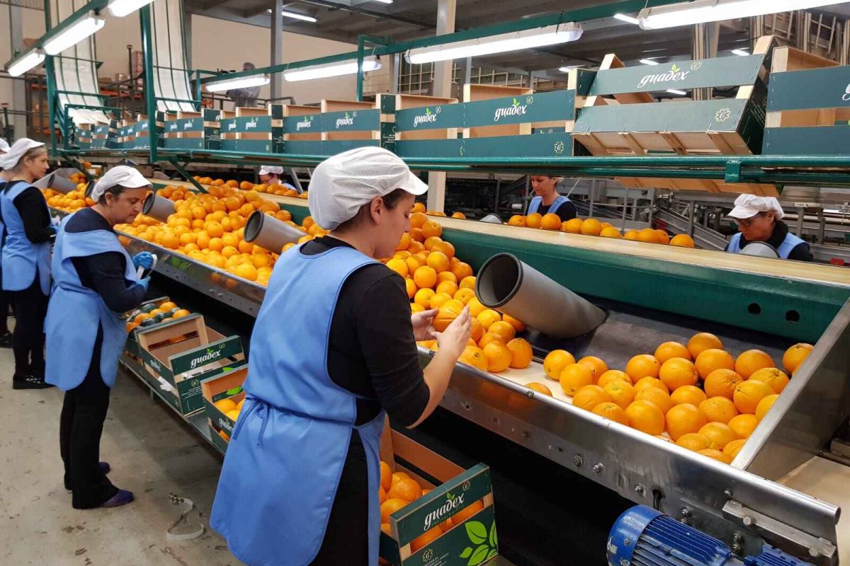 El Ministerio de Agricultura, Pesca y Alimentación apuesta por la igualdad como herramienta de futuro en el medio rural y el sector pesquero