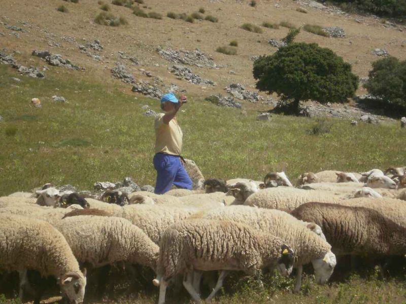 Escuela de Pastores y Pastoras de Andalucía, formación para perpetuar la ganadería