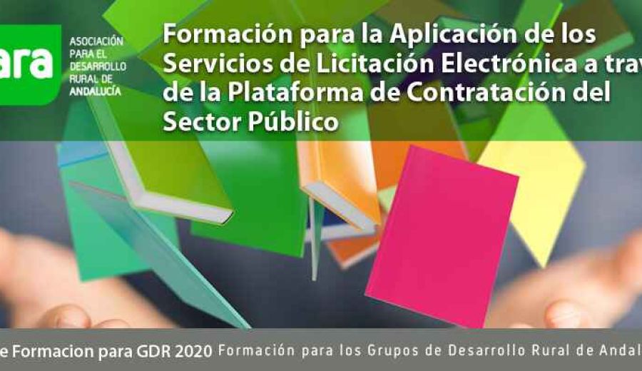 Curso para la Aplicación de los Servicios de Licitación electrónica a través de la Plataforma de Contratación del sector público