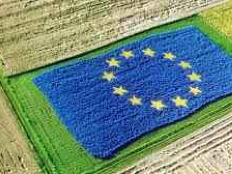 Documentos del Ministerio de Agricultura sobre necesidades y diagnóstico de LEADER post 2020 para el Plan Estratégico Nacional