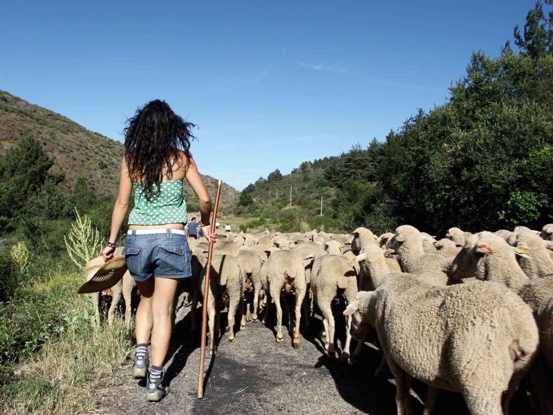 Acceso a la tierra, financiación y formación, pilares del relevo generacional en el medio rural