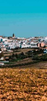 img jose alvarez2 5f69538e