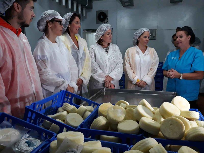 La Noria impulsa el proyecto Plan Fermenta que trabaja la inserción sociolaboral de personas con diversidad funcional en queserías de la provincia de Málaga