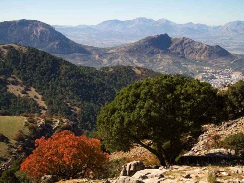 Sierras de Cazorla, Segura y Las Villas celebra sus 35 años como Parque Natural