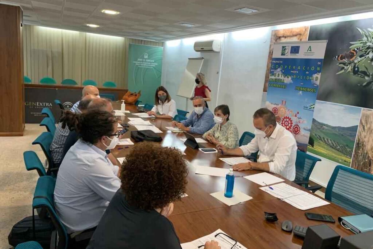 Los GDR de Jaén cooperan para hacer más competitivo y sostenible el sector oleícola de sus comarcas