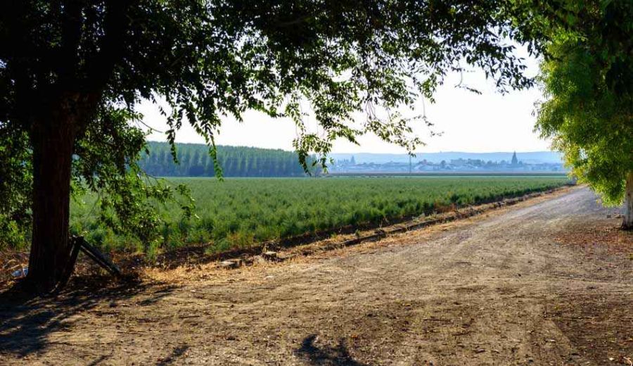 El LEADER de PROMOVEGA, comprometido con los 14 municipios de la Vega-Sierra Elvira