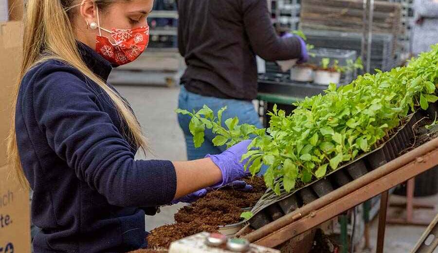 Educación y Agricultura firman un acuerdo para fomentar la FP y el relevo generacional en el sector agrario y pesquero