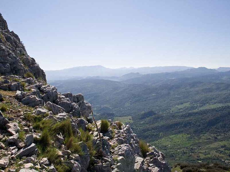 SMART RURAL: Empleo Verde y Digital para un Desarrollo Sostenible