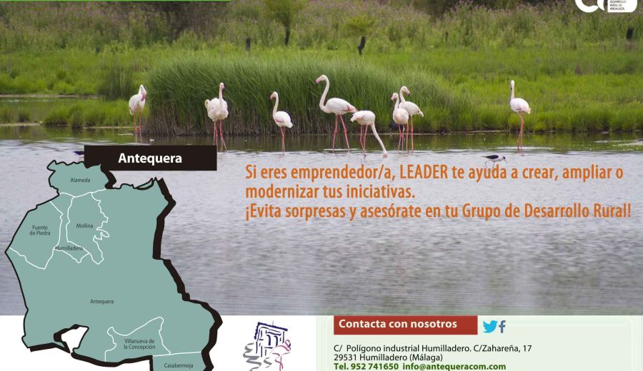 Agricultura concede ayudas LEADER por más de 516.000 euros para el desarrollo rural de la comarca de Antequera