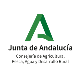 junta trans 63e912e5