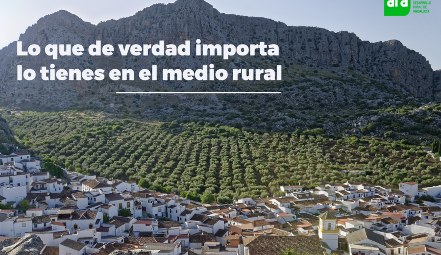 Servicios que ofrecemos a los Grupos de Desarrollo Rural de Andalucía (GDR)